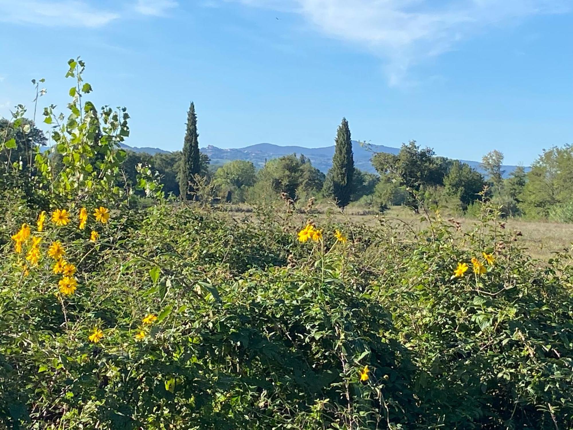 Aparthotel Il Casale Delle Rose Paganico  Esterno foto