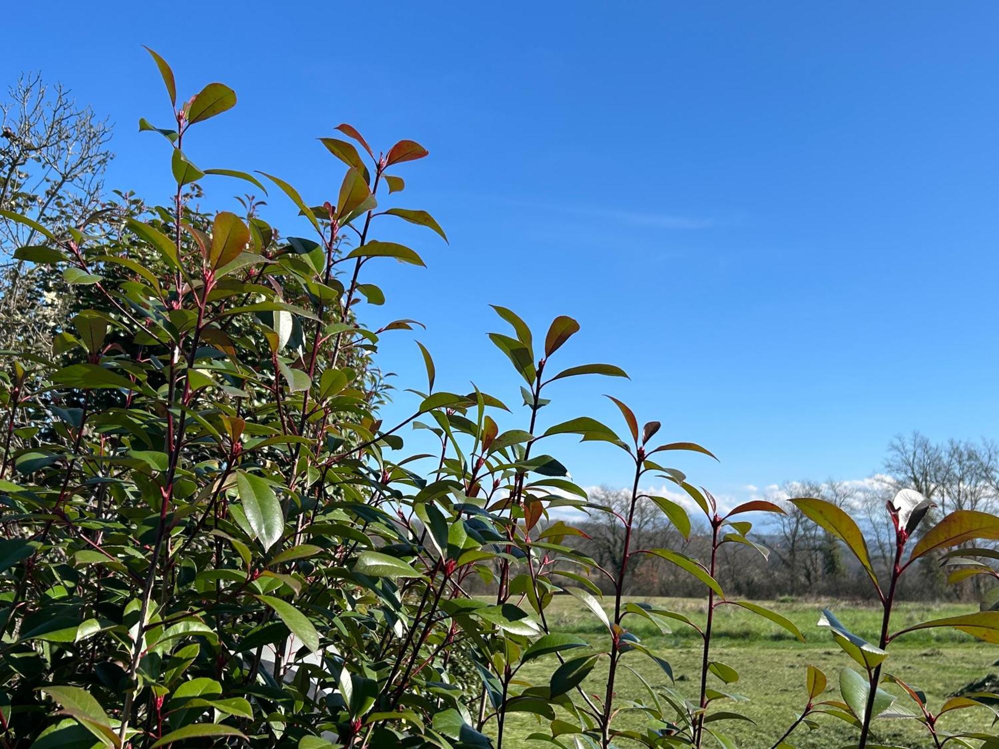 Aparthotel Il Casale Delle Rose Paganico  Esterno foto